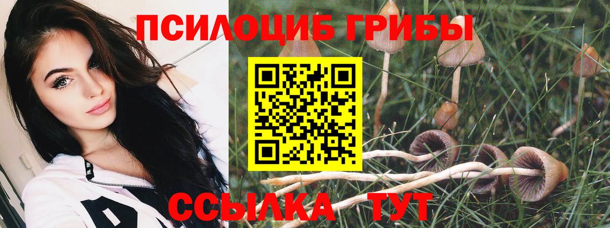 Киселёвск  Псилоцибиновые грибы Magic Shrooms  Вход с VPN  купить наркотик  Галлюциногенные грибы мицелий 