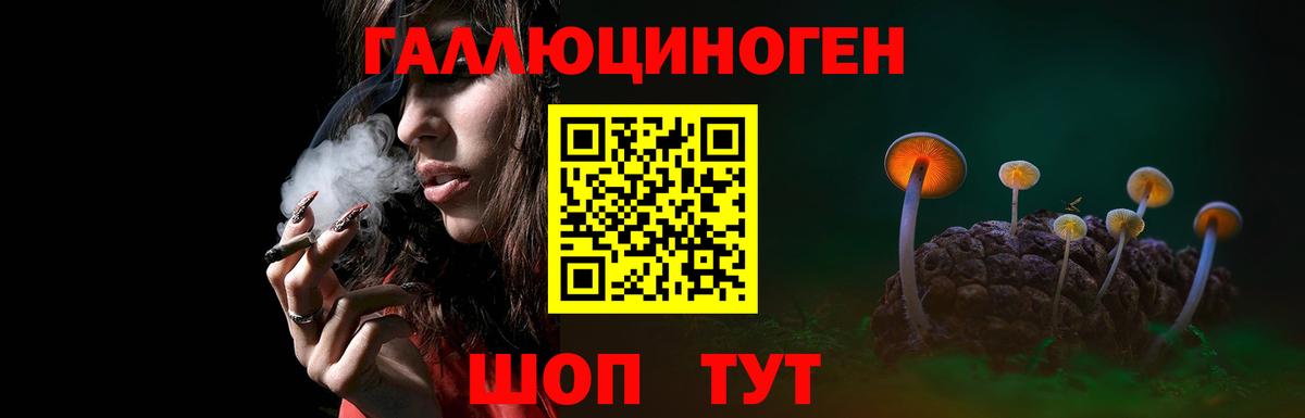 Галлюциногенные грибы MAGIC MUSHROOMS Киселёвск